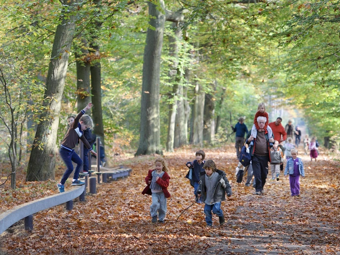 Obstakel parcours in bos