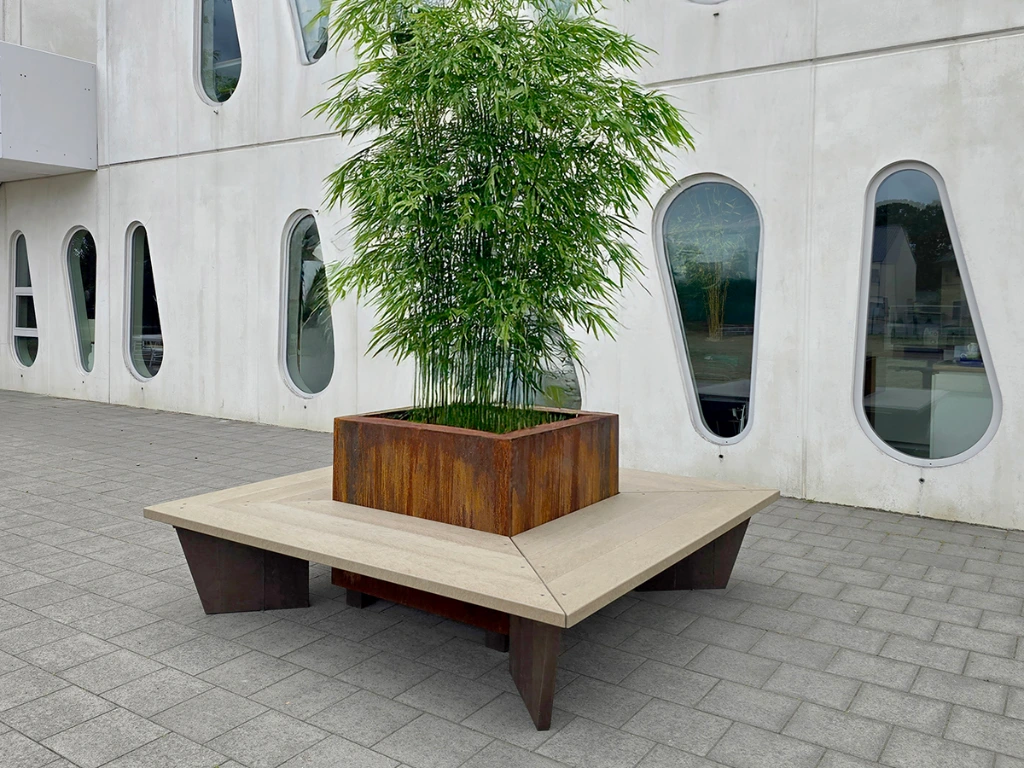 20250822_111750 kopie lichter kopie.webp