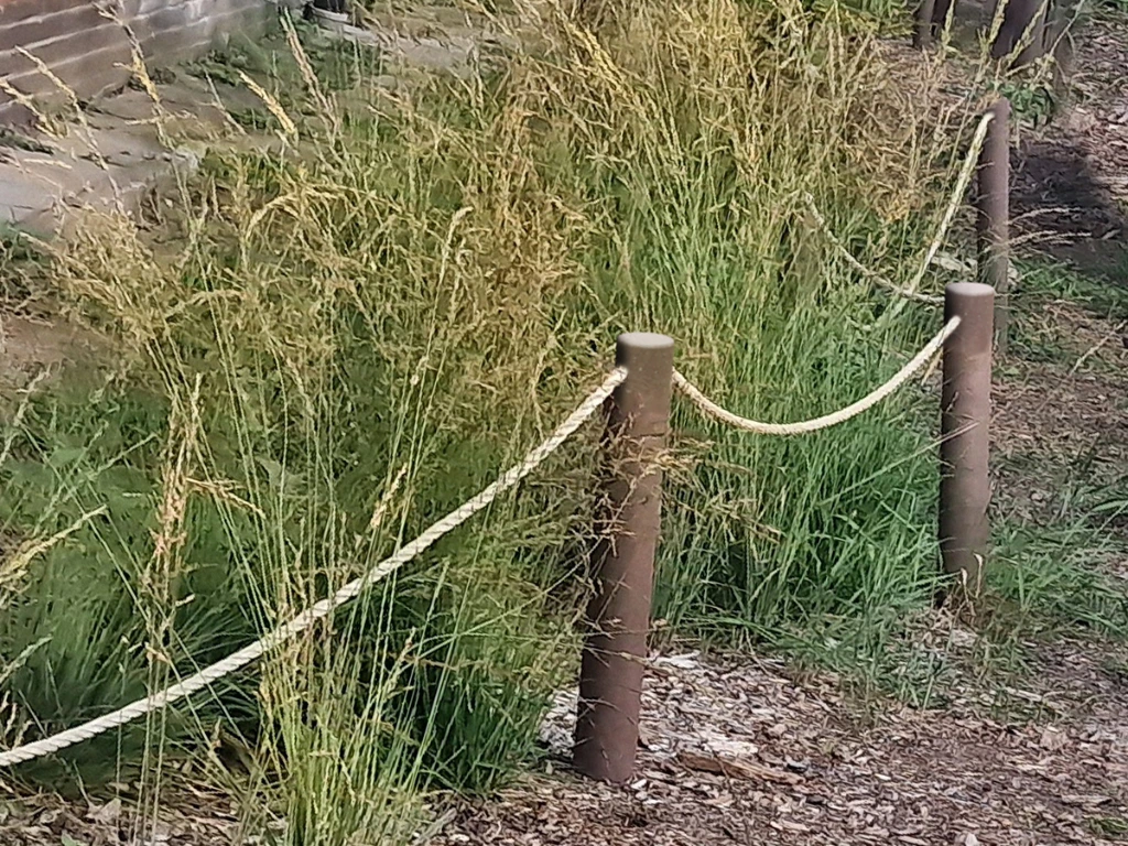 touw afbakening 01.webp