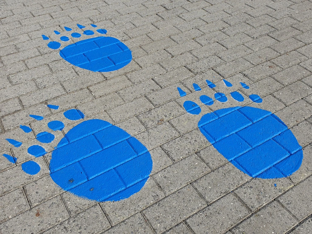 sjablonen wegenverf Kievermont 04.webp