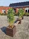 ID075-Sitting area-001.webp
