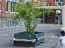 bloembakbanken kopie.webp