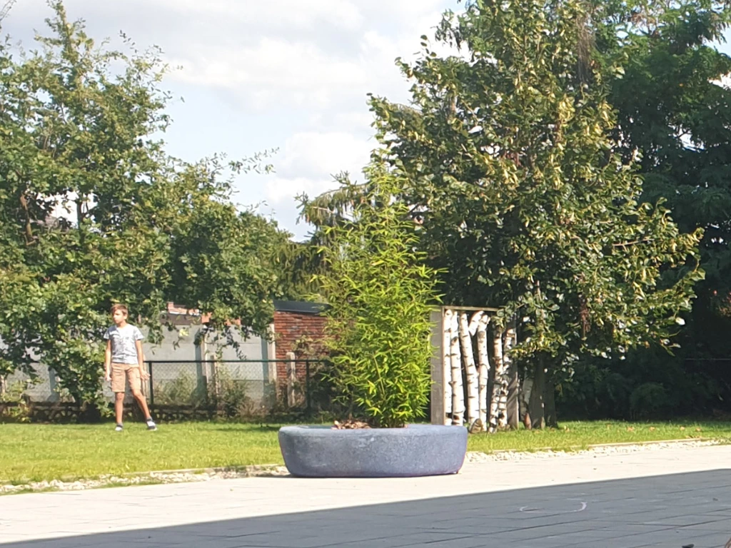 confetti plantenbak.webp