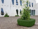 Donut-plantenbak-yarngreen.webp