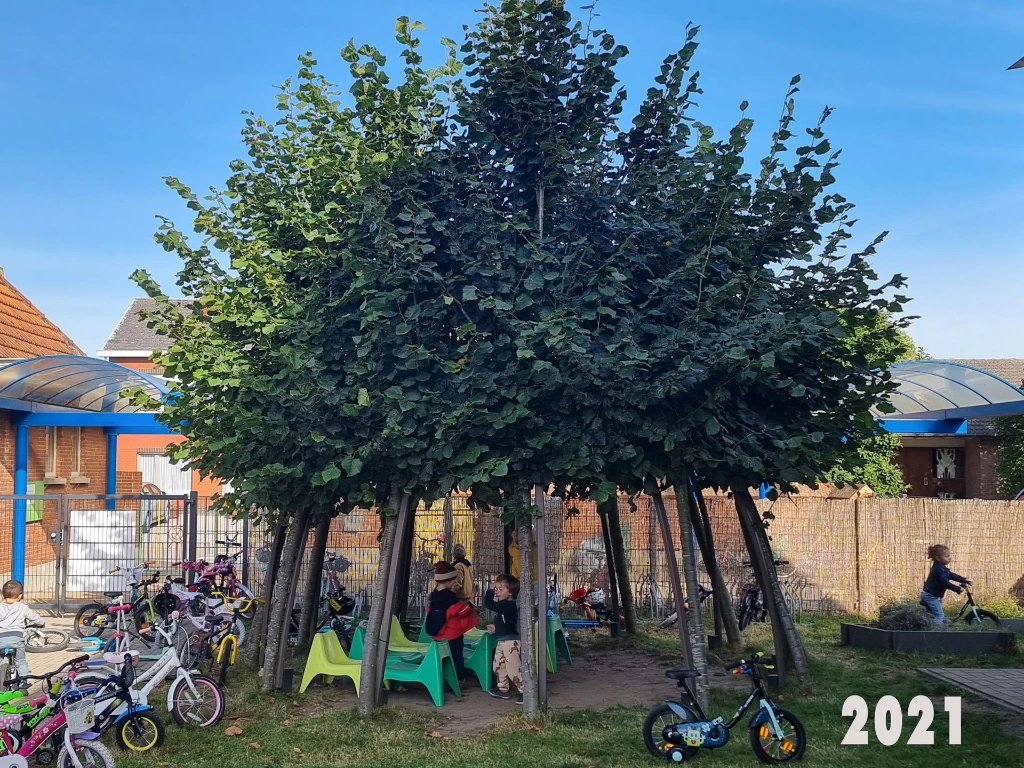 dome geel punt BLUR kopie 2.webp