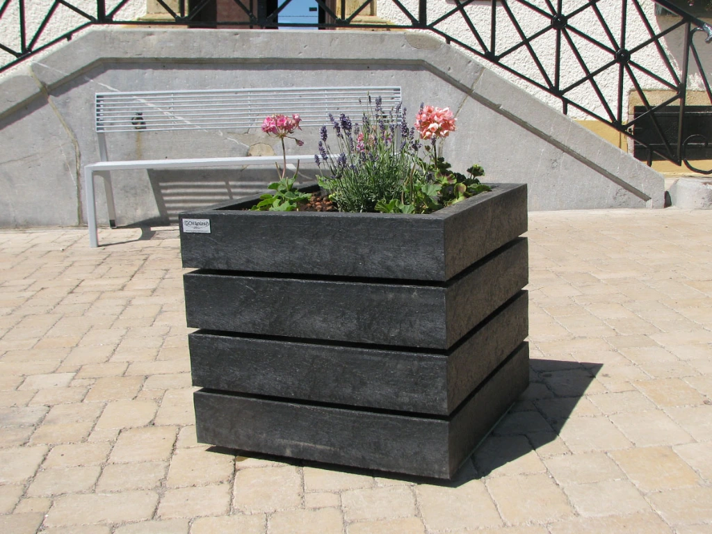 IMG_0067 - Agora kopiëren.webp