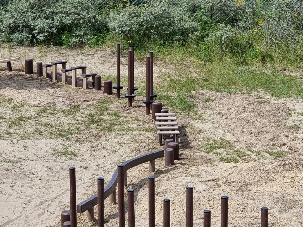 GP101 in duinen11.webp