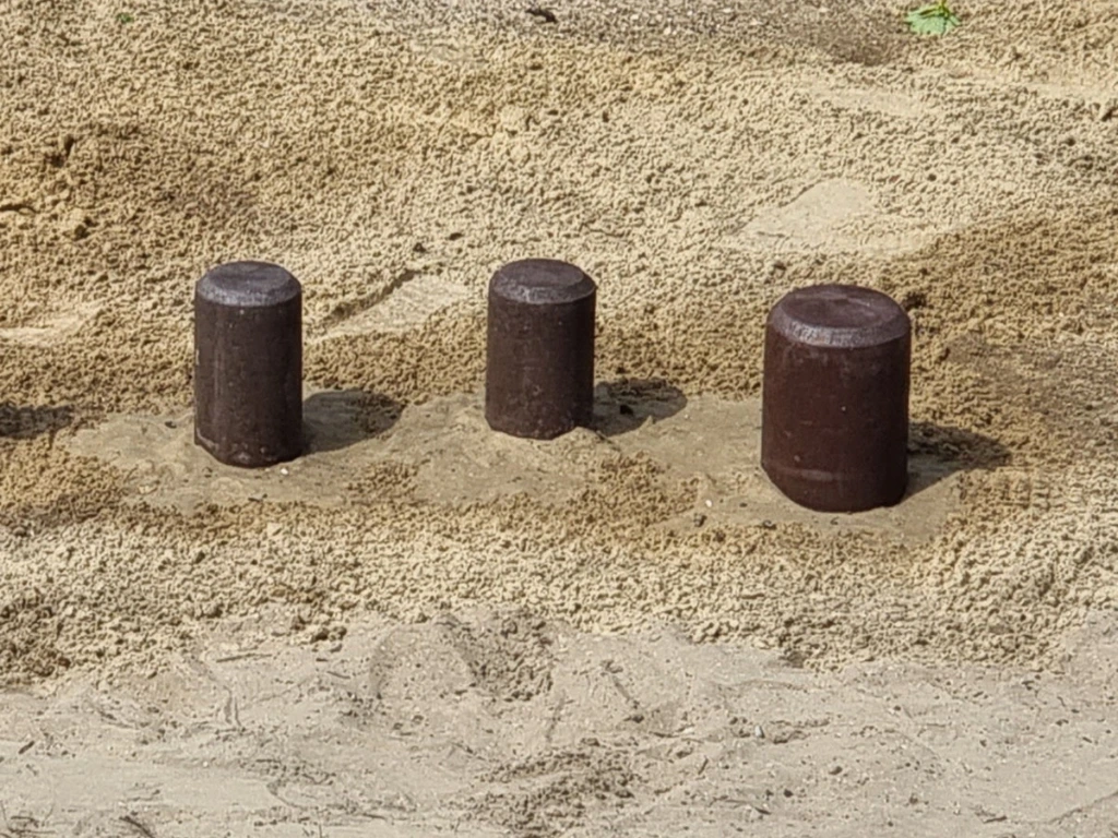 GP101 in duinen08.webp