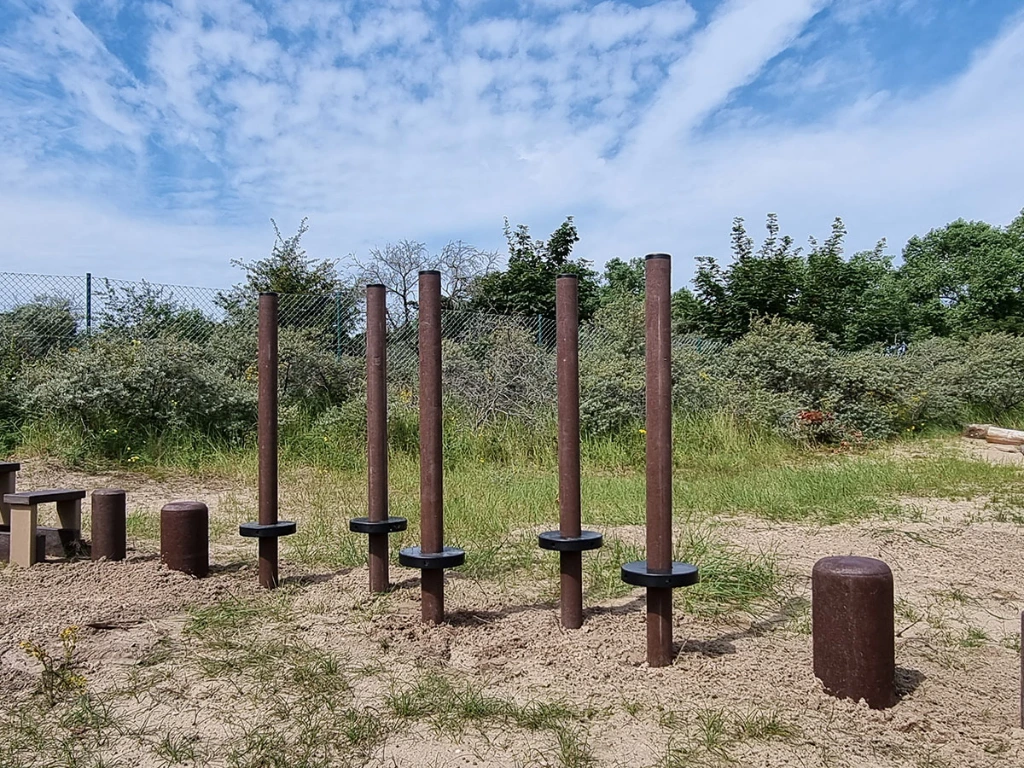 GP101 in duinen23.webp