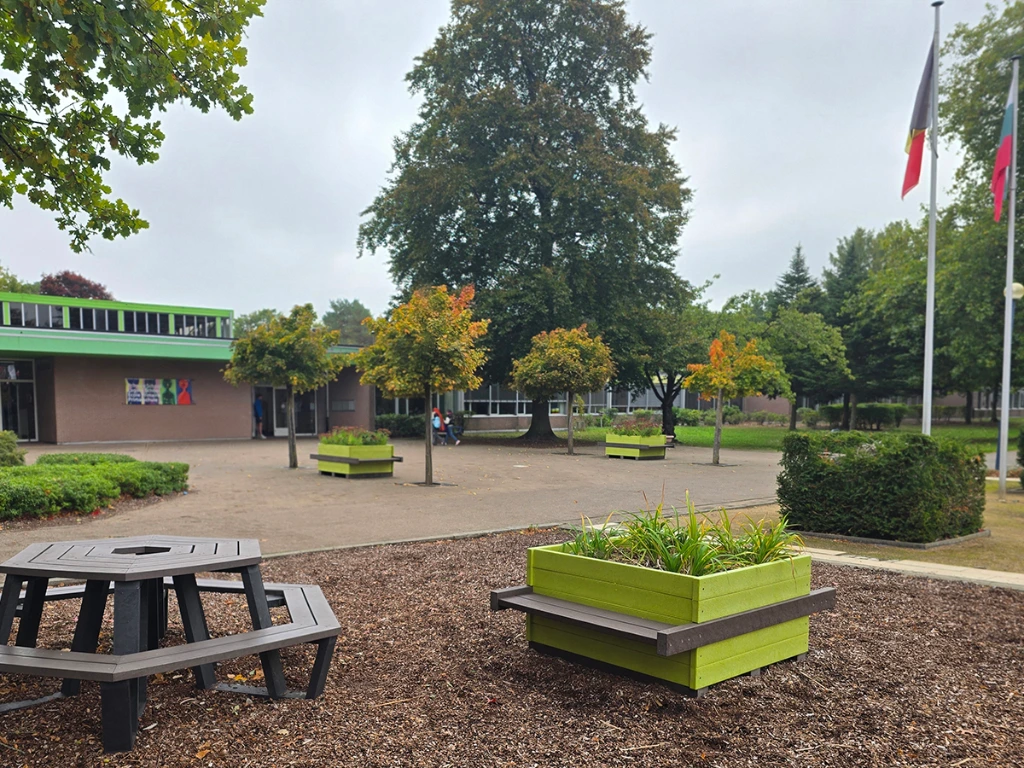 bloembakbank ESmol.webp