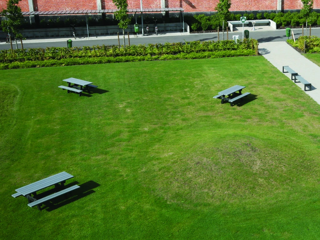 IMG_0337cmyk kopiëren.webp