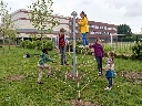 Piramidenet-270_Vilvoorde1.webp