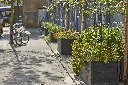 planter rotterdam govaplast (2).webp