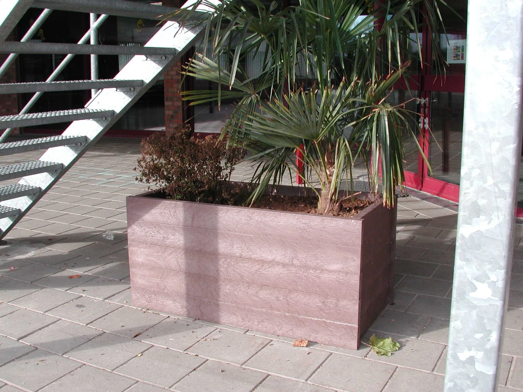 DSCN0346.webp