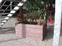 DSCN0346.webp