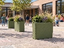 Groene schooltuin met diveroplanters.webp