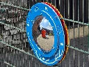 Round Play Panel Convex Mirror