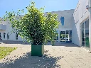 Jardinière Cubo
