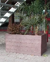 Bloembak Rotterdam zonder poten 120 x 60 cm