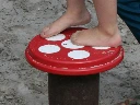 Paddestoel