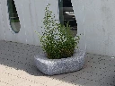 Donut - jardinière