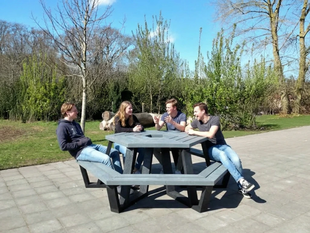 Picnic Table Roma