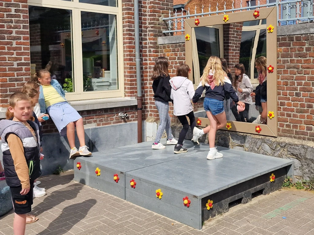 [ID702-000000-SB] Grote Onbreekbare spiegel