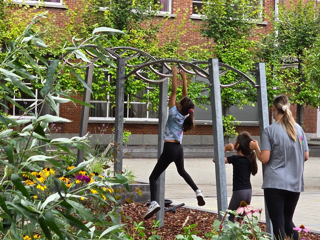 [ID703-000000-NA] Monkeybars