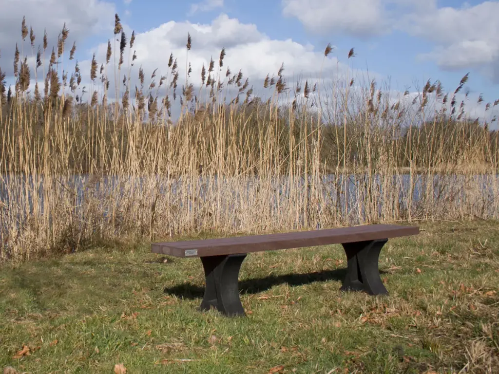 Banc Bonn sans dossier
